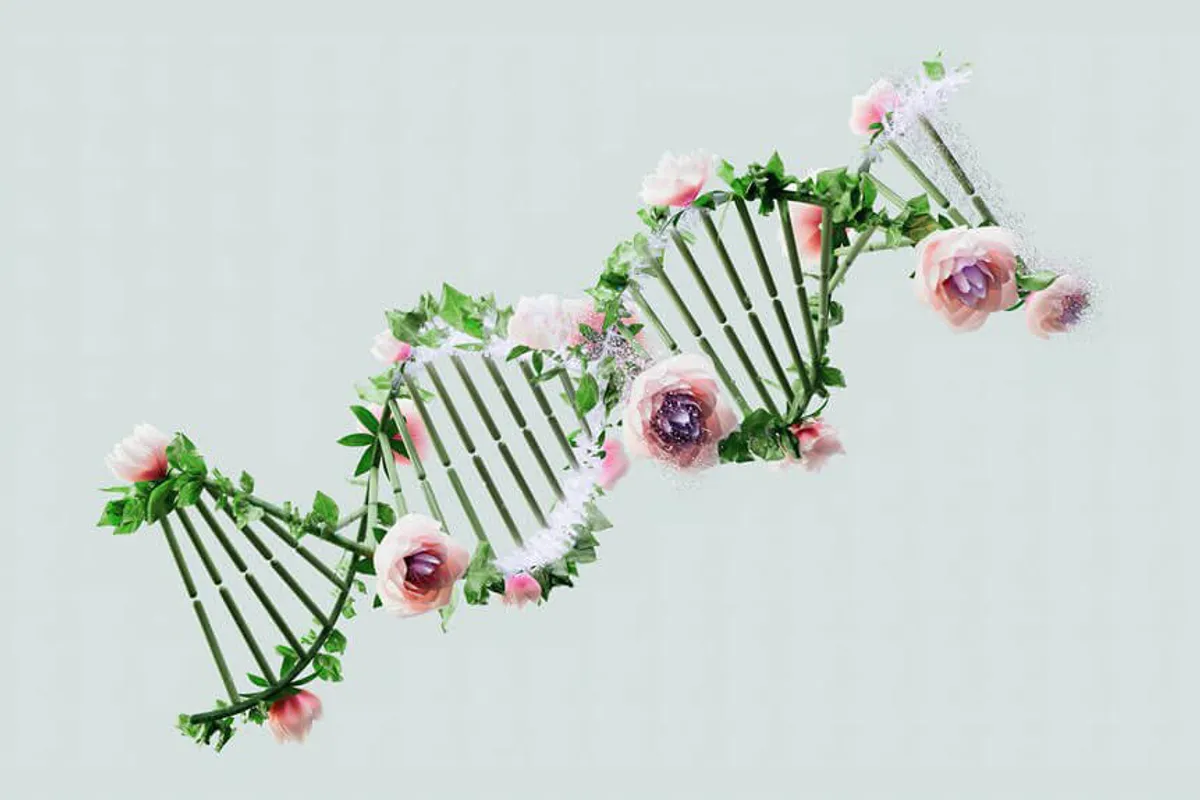 The Science Behind Growth Mindset: How It Can Transform Your Life