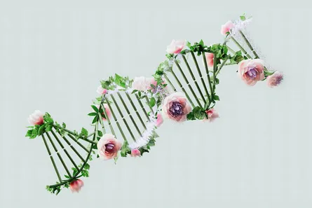 The Science Behind Growth Mindset: How It Can Transform Your Life