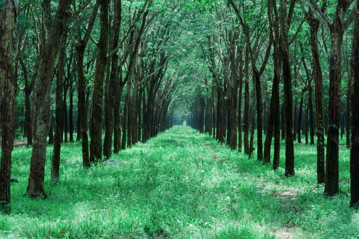 The Ultimate Guide to Personal Development: How to Transform Your Life